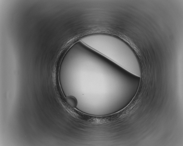 X0000116560442200912100946