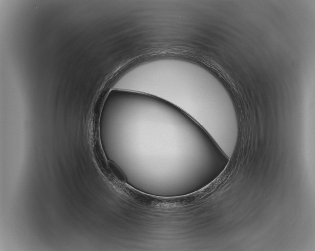 X0000116560444200912100946