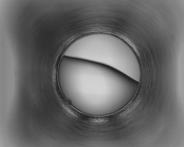 X0000116560445200912100946