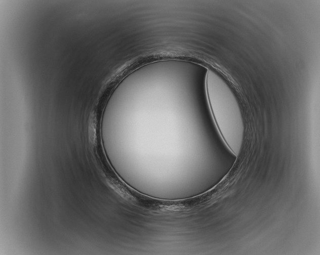 X0000116560446200912100946