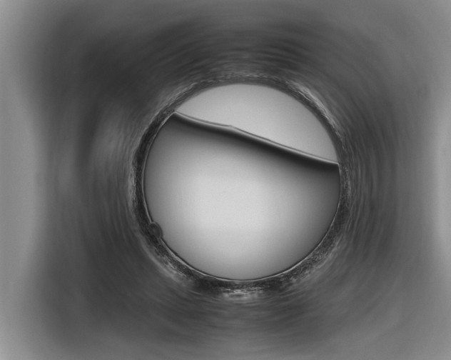X0000116560447200912100947