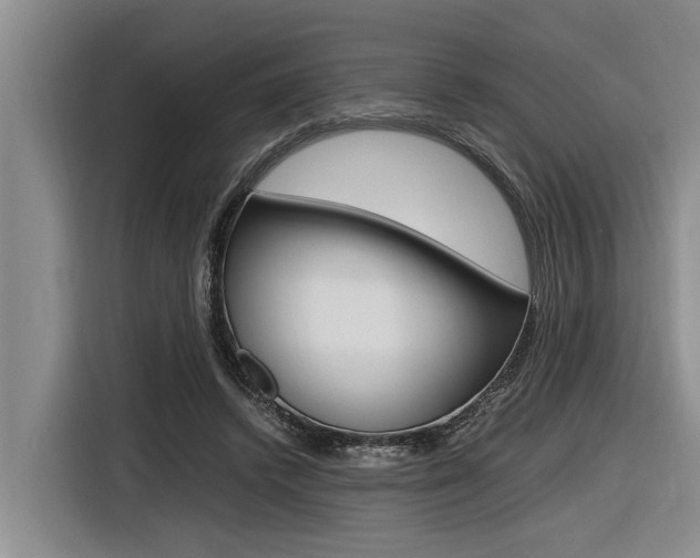 X0000116560448200912100947