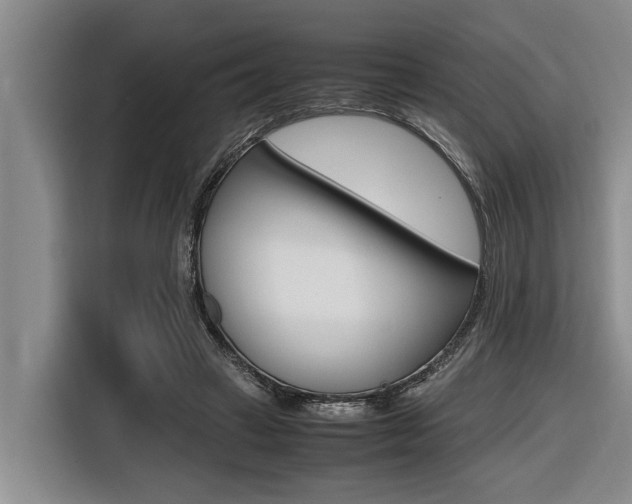X0000116560449200912100947