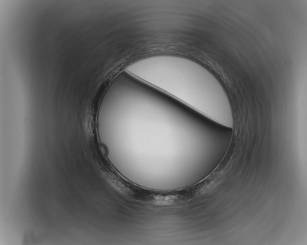 X0000116560450200912100947
