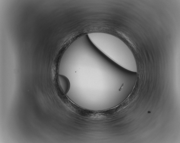 X0000116560451200912100947