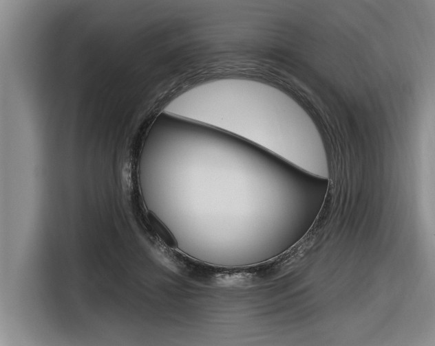 X0000116560452200912100947