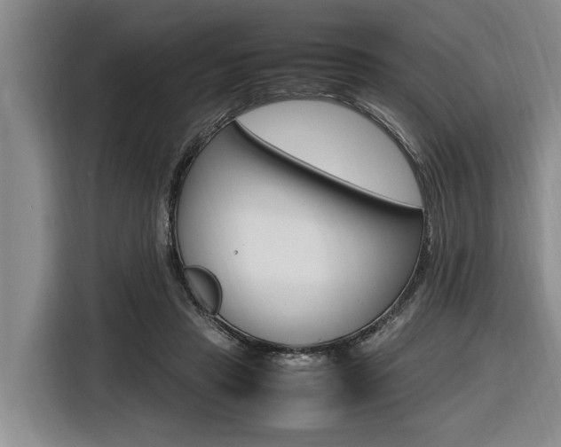X0000116560453200912100947