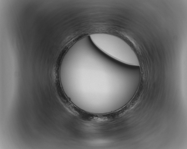 X0000116560455200912100947
