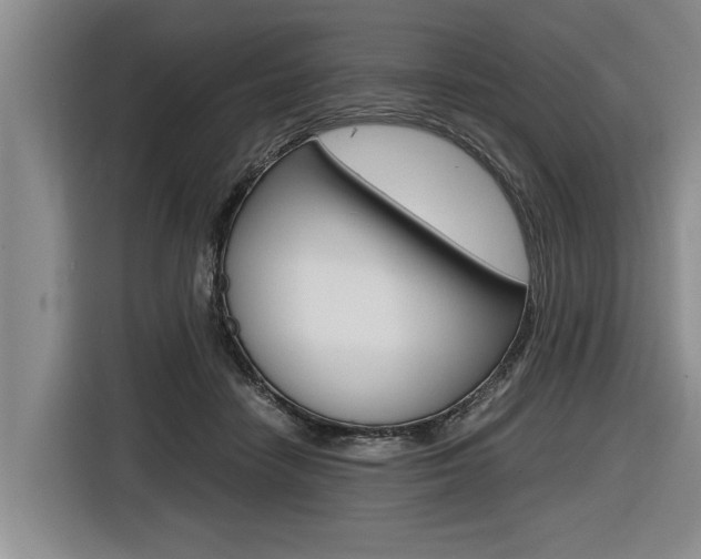X0000116560458200912100947