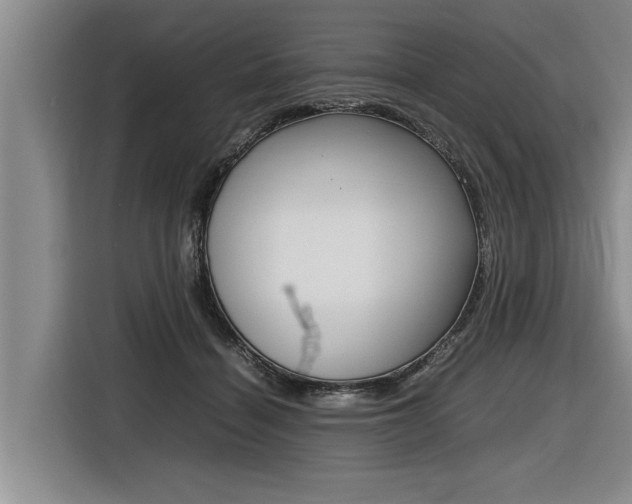 X0000116560460200912100947