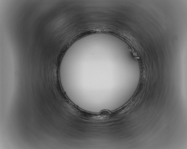 X0000116560461200912100947