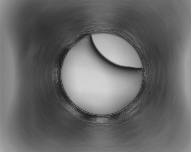 X0000116560462200912100947