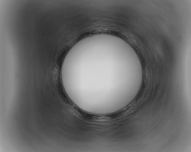 X0000116560463200912100947