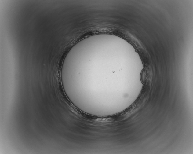 X0000116560465200912100947