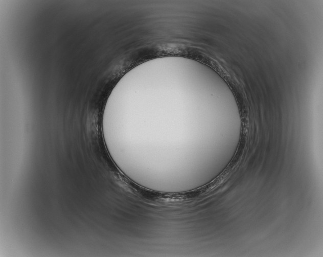 X0000116560466200912100947