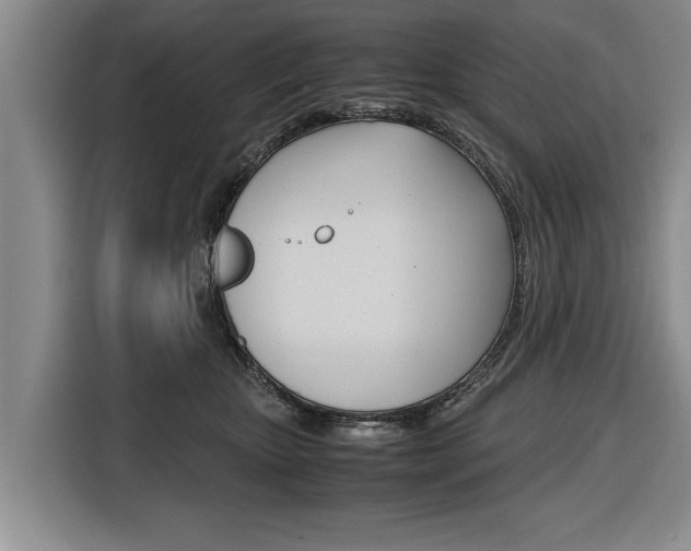 X0000116560467200912100947