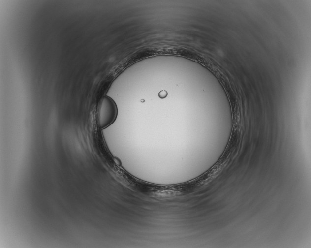 X0000116560468200912100947