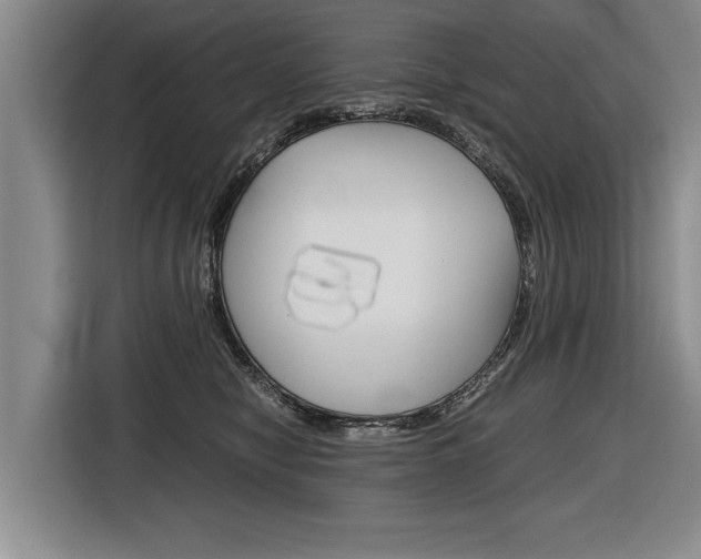 X0000116560470200912100947
