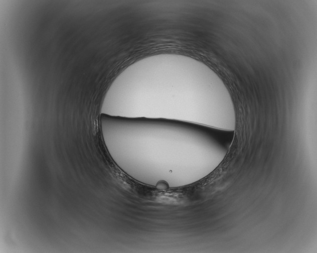 X0000116560471200912100947