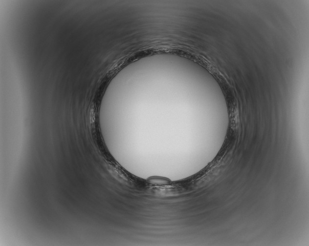 X0000116560472200912100947