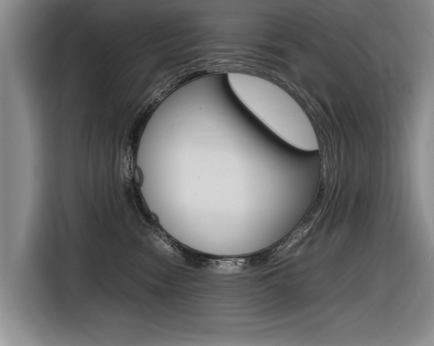 X0000116560474200912100947