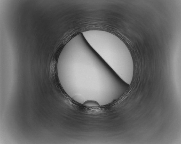 X0000116560475200912100947