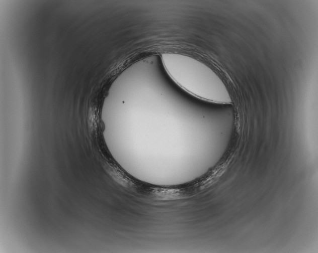 X0000116560476200912100947