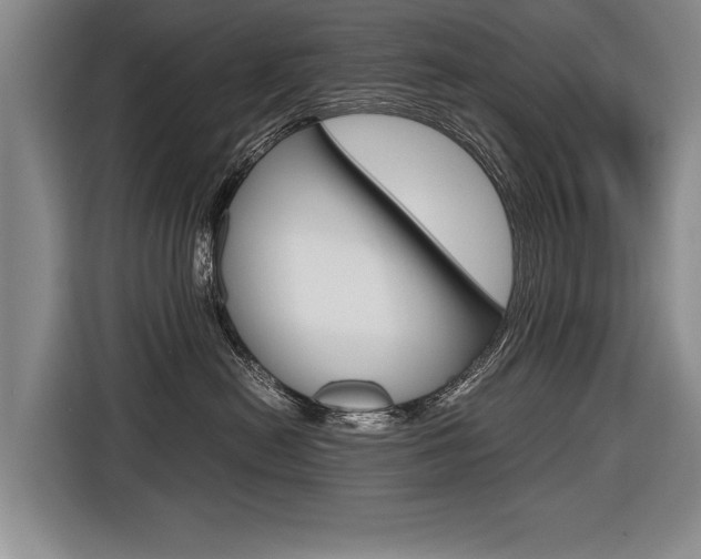 X0000116560478200912100947