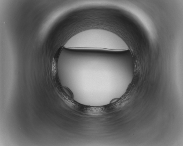 X0000116560479200912100947
