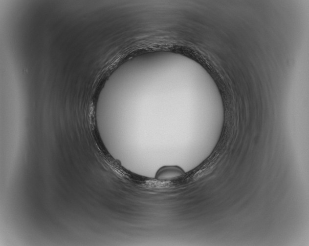 X0000116560480200912100947
