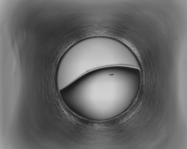 X0000116560481200912100946