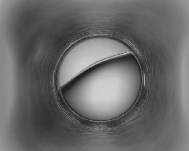 X0000116560483200912100946