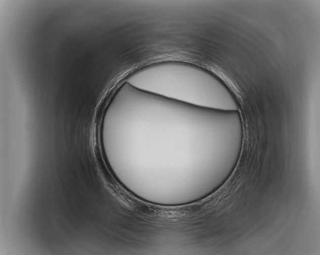 X0000116560486200912100946