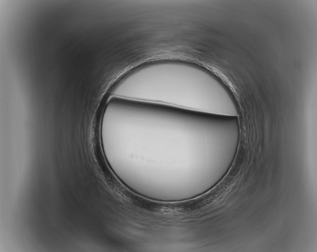 X0000116560487200912100946