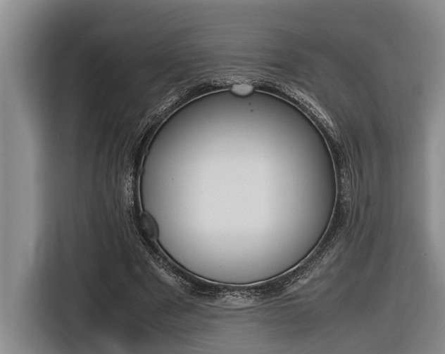X0000116560489200912100946