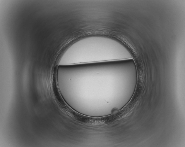 X0000116560491200912100946