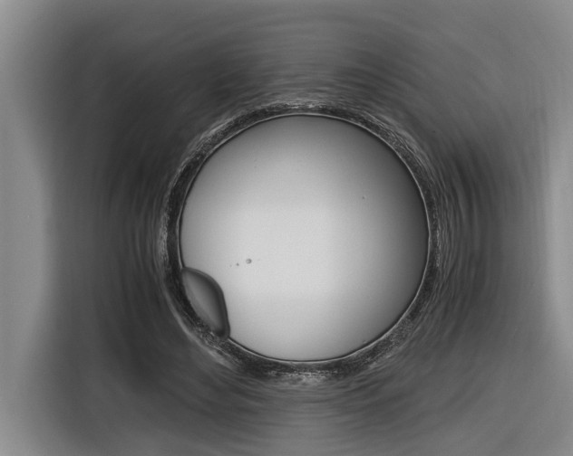 X0000116560492200912100946