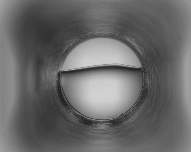 X0000116560495200912100946