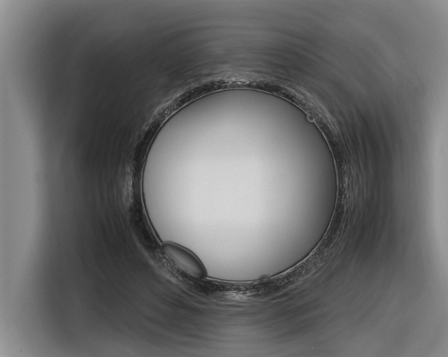 X0000116560496200912100946