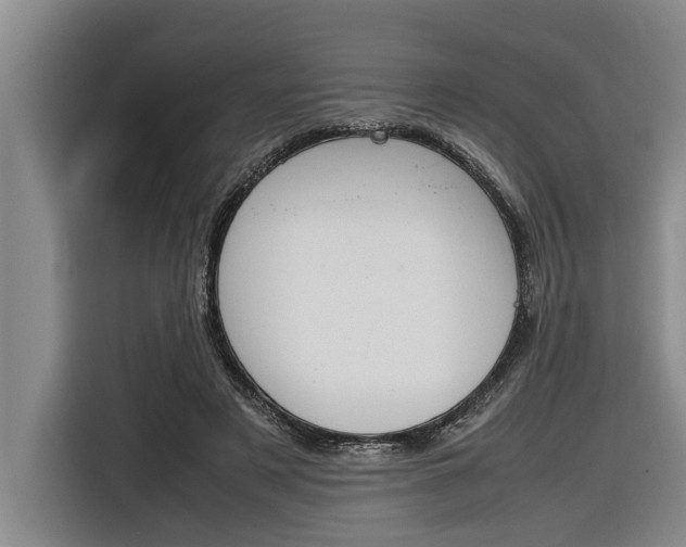 X0000116560497200912100946