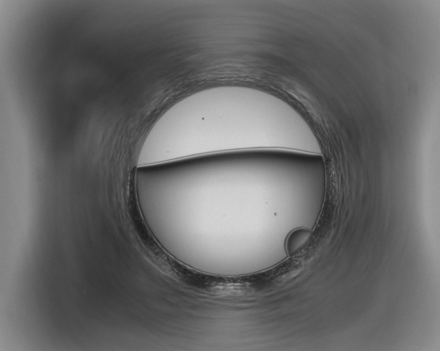 X0000116560499200912100946