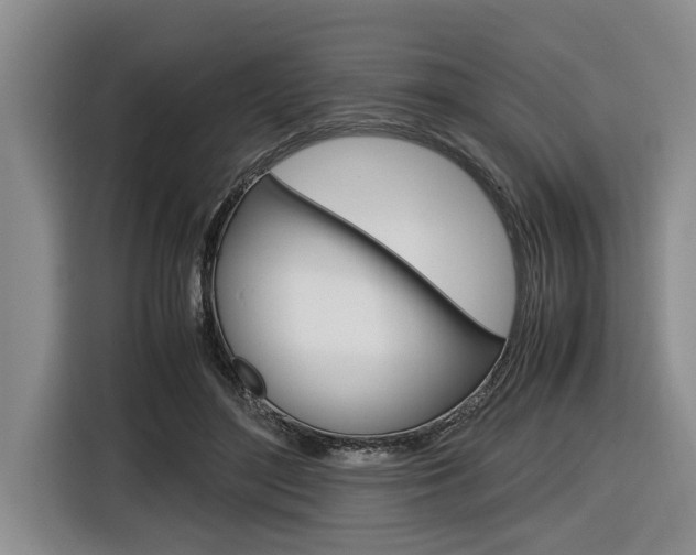 X0000116560500200912100946