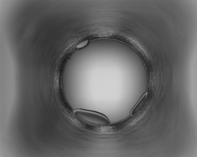 X0000116560501200912100946