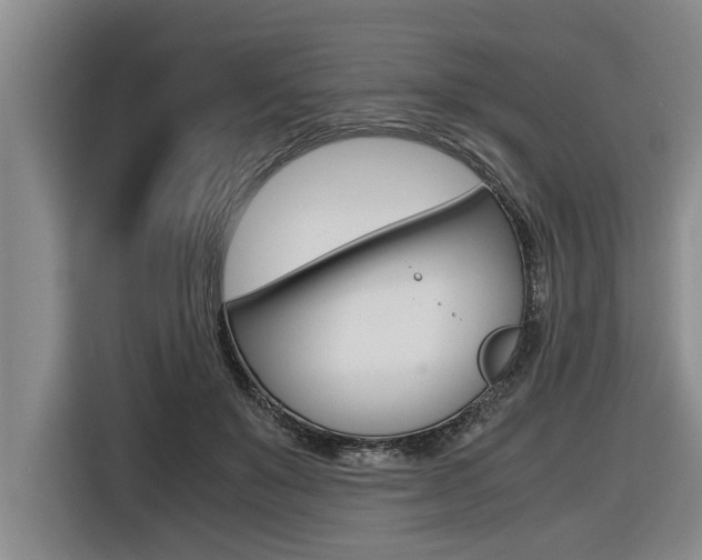 X0000116560503200912100946