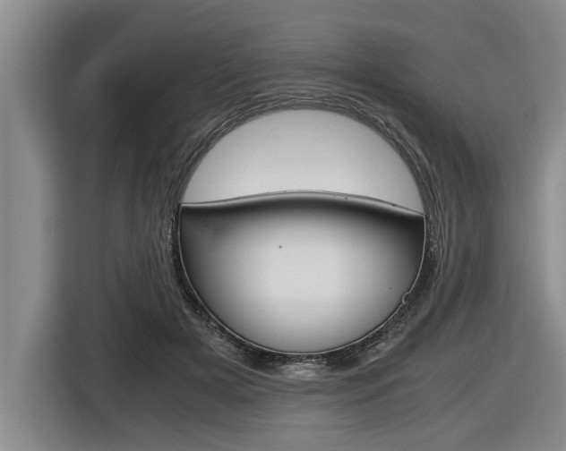 X0000116560505200912100946