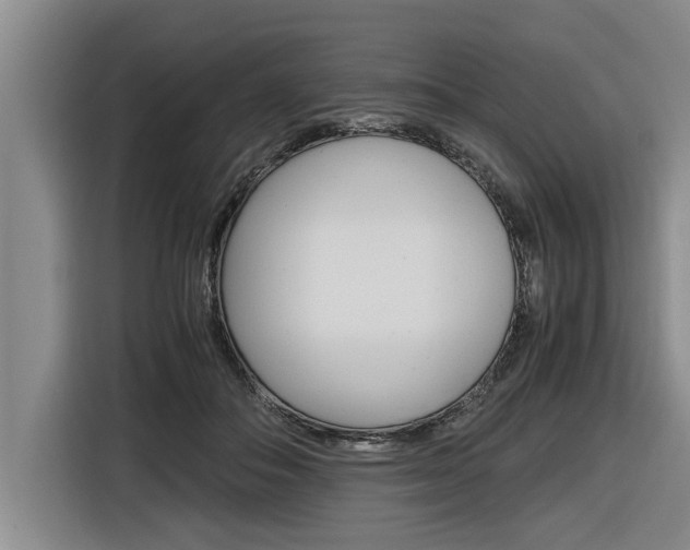 X0000116560506200912100946