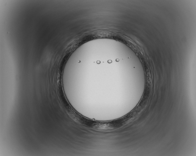 X0000116560507200912100946