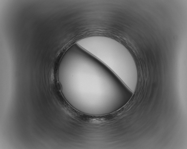 X0000116560508200912100946