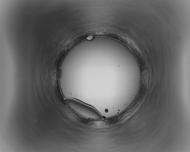 X0000116560509200912100946