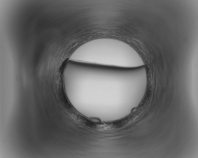 X0000116560511200912100946